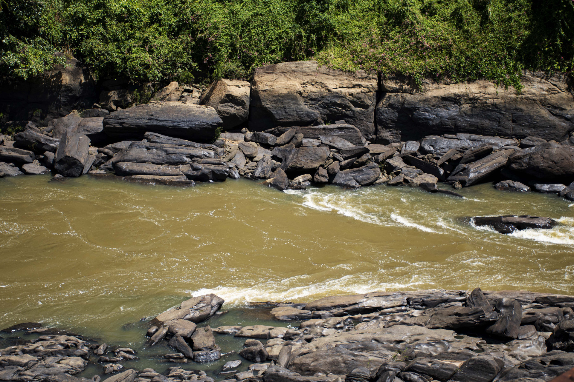 Ponte Ferroviária de Sapucaia de Minas