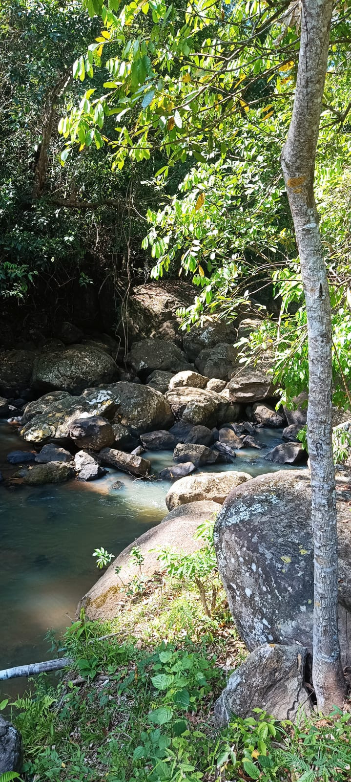 Córrego do Rio são João