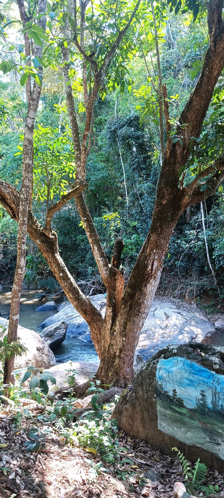 Córrego do Rio são João