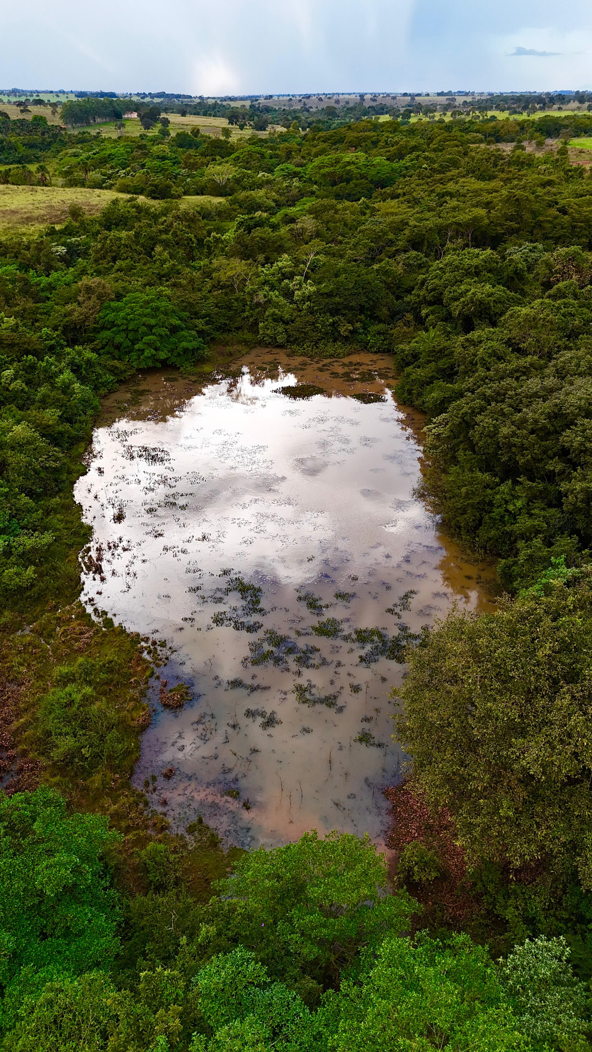 Rio São Domingos