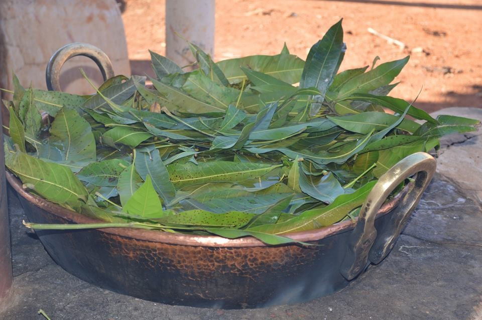 Tingimento Natural 