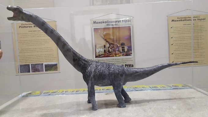 Museu de História Natural do Prata