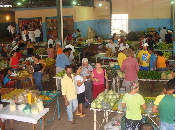Mercado Municipal
