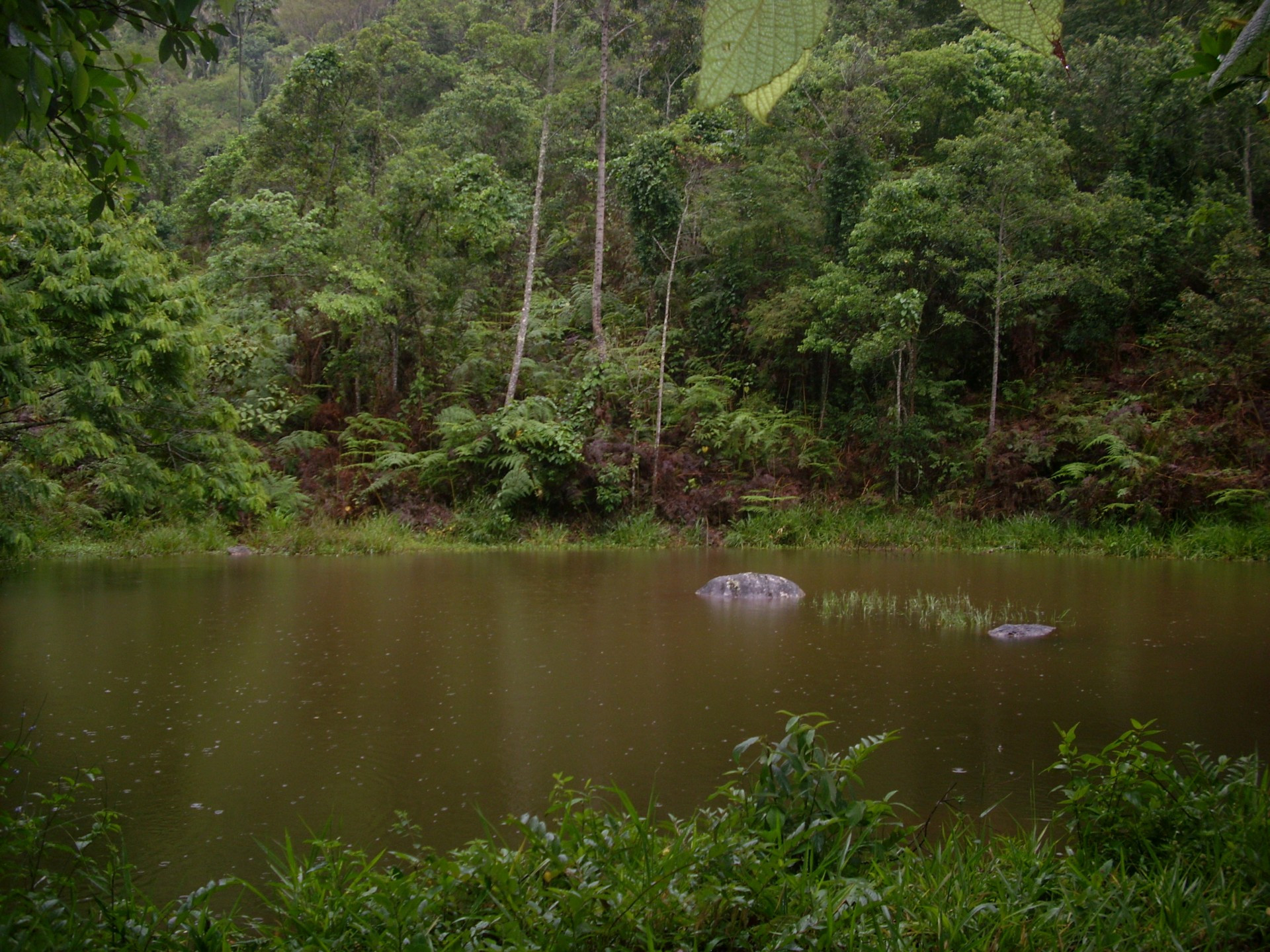 SERRA DA GRAMA 