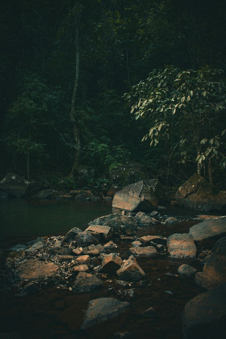 Cachoeira do Ronca