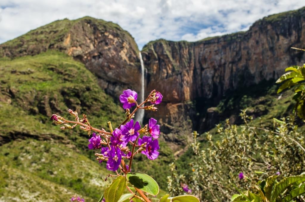 Você conhece a MAIOR Cachoeira de Minas Gerais?🙃 Essa é a